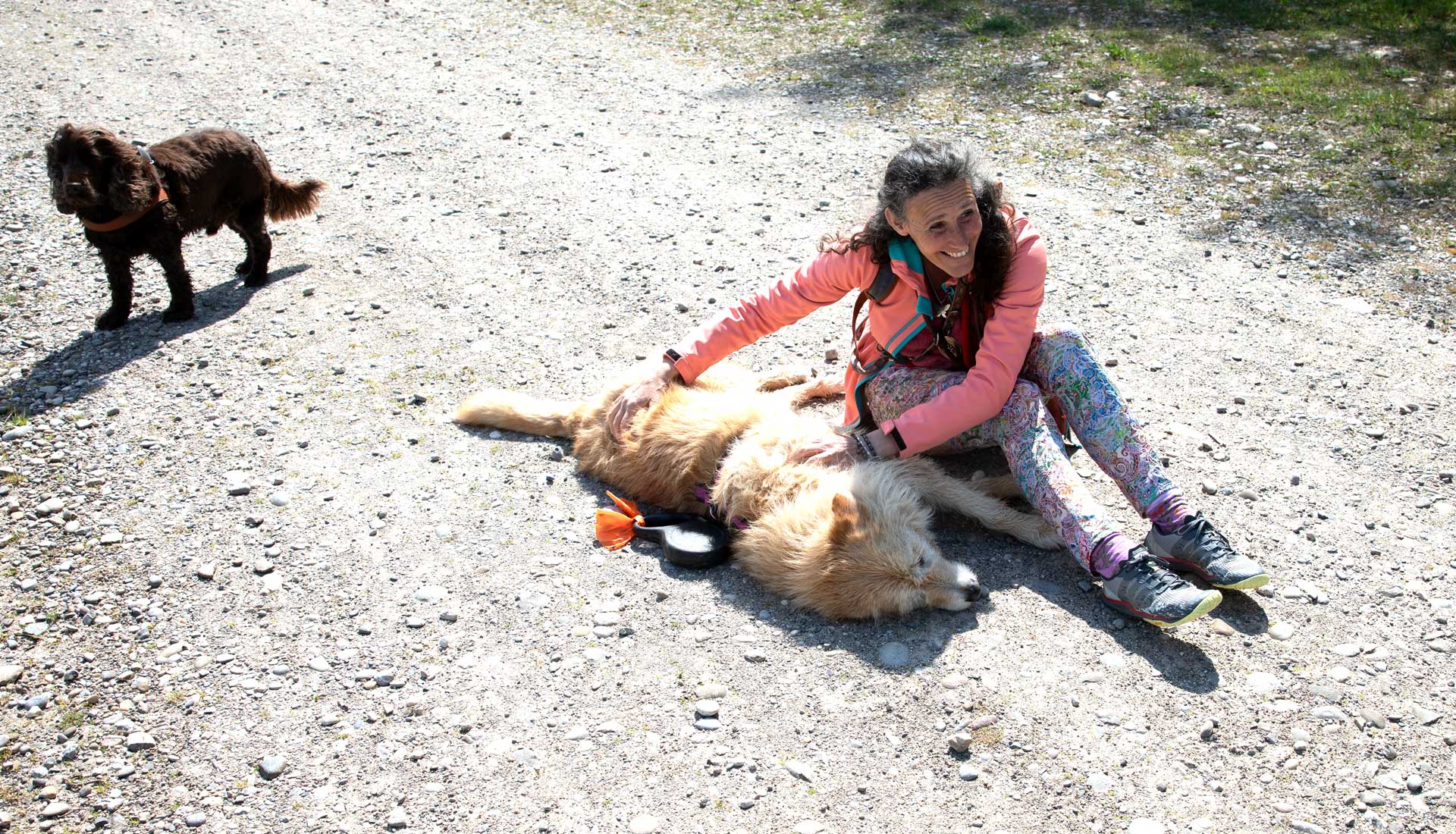Shiatsu für Hunde von Paola Luminati