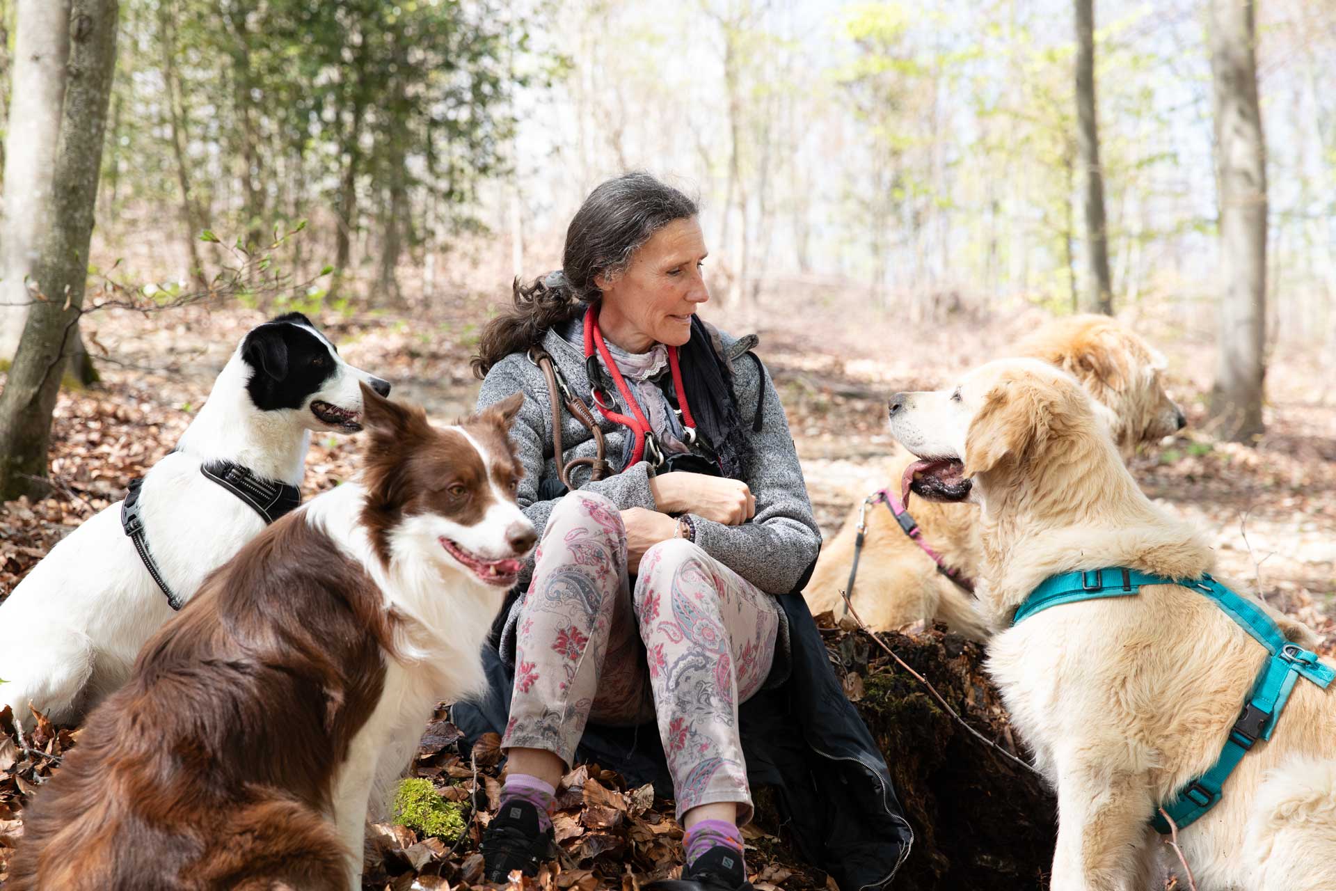 Hundebetreuung im Jahresabo - Zusammen unterwegs - Paola Luminati - Basel und Baselland