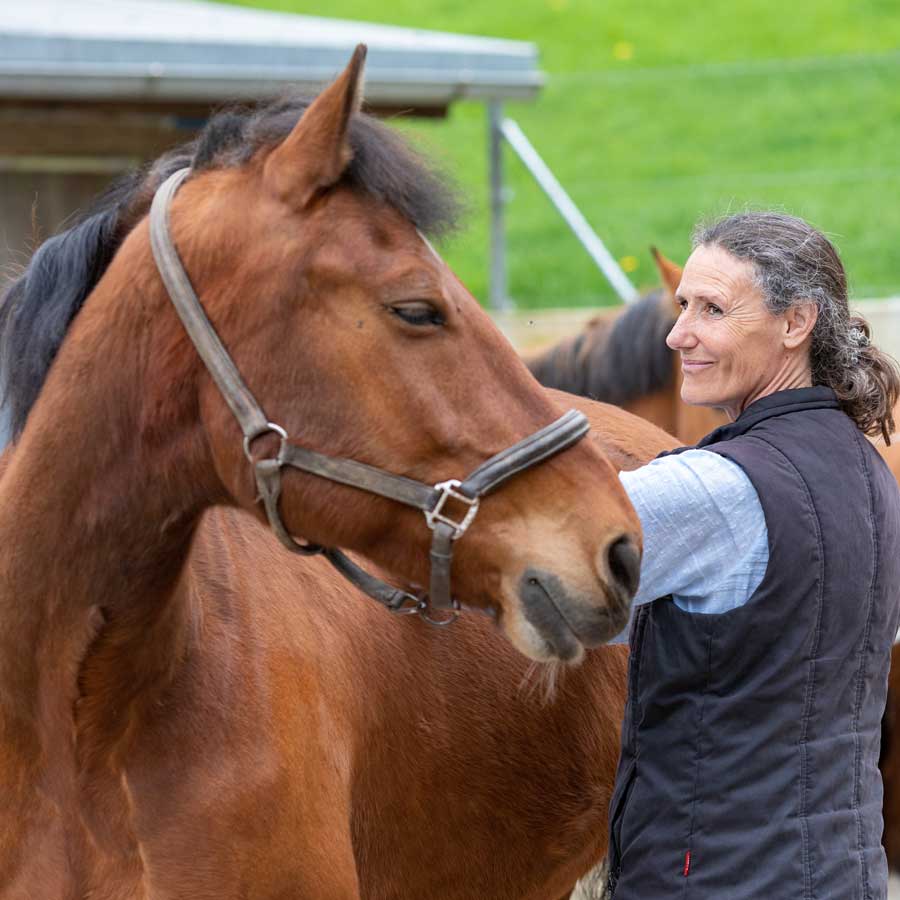 Shiatsu und Energiearbeit für Tiere - Paola Luminati 