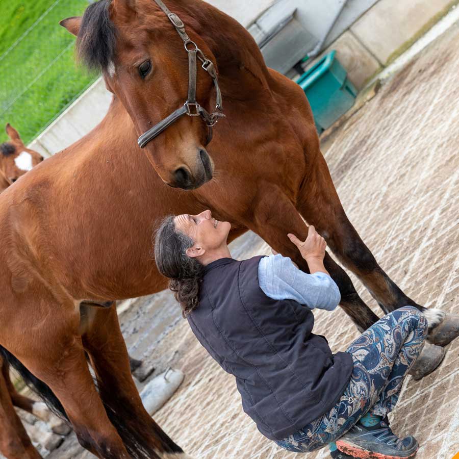 Paola Luminati Tiershiatsu Paola Luminati Tiershiatsu
